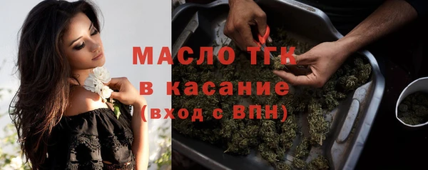 мдпв Богородск