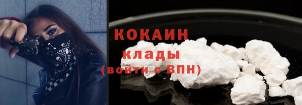 мдпв Богородск