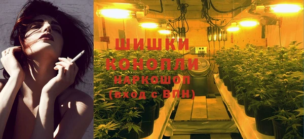 мдпв Богородск