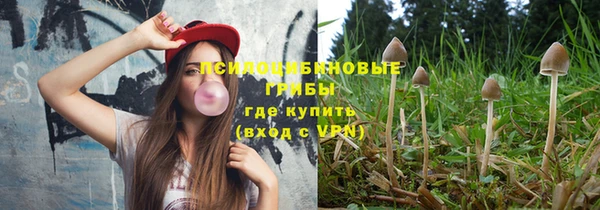 не бодяженный Богородицк